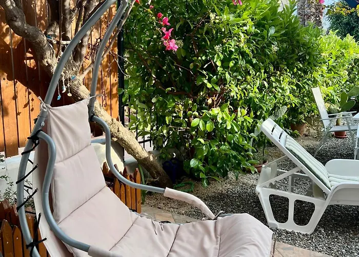 Giovanna 托雷坎内