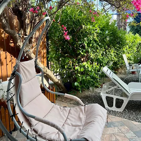 Giovanna Torre Canne